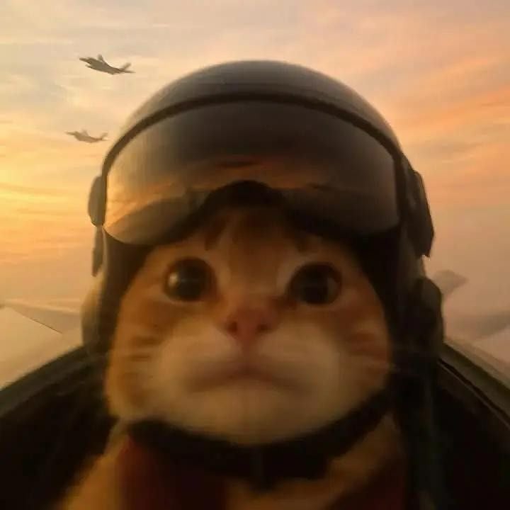 airrack games