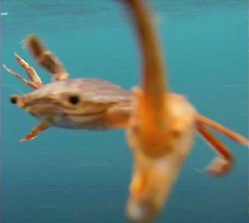 Magical motivational videos