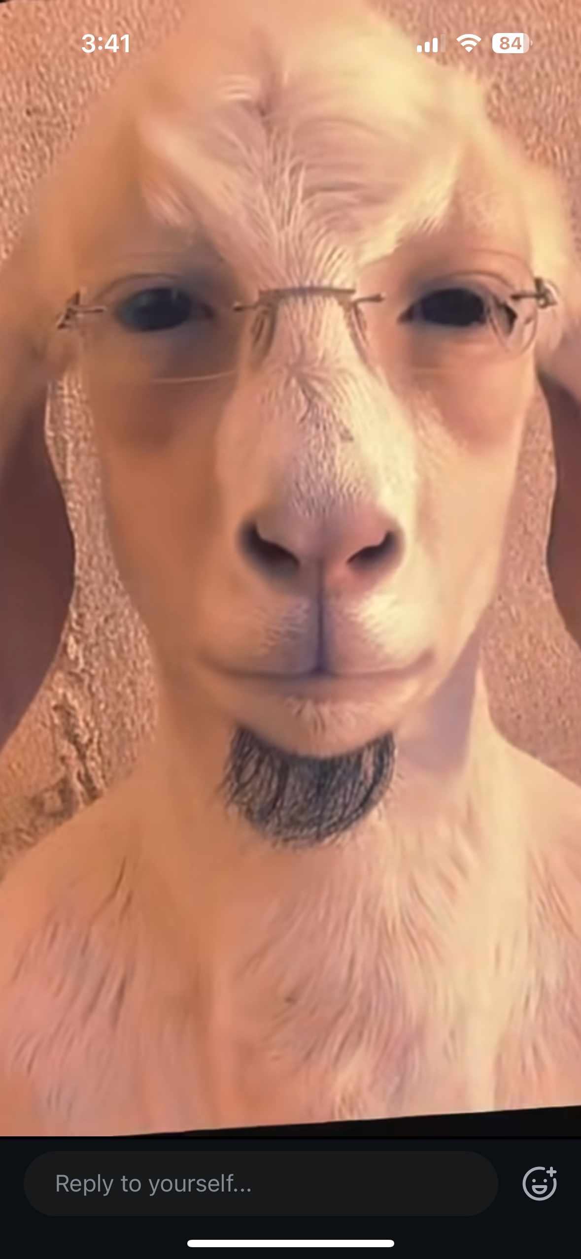 TwitchTok