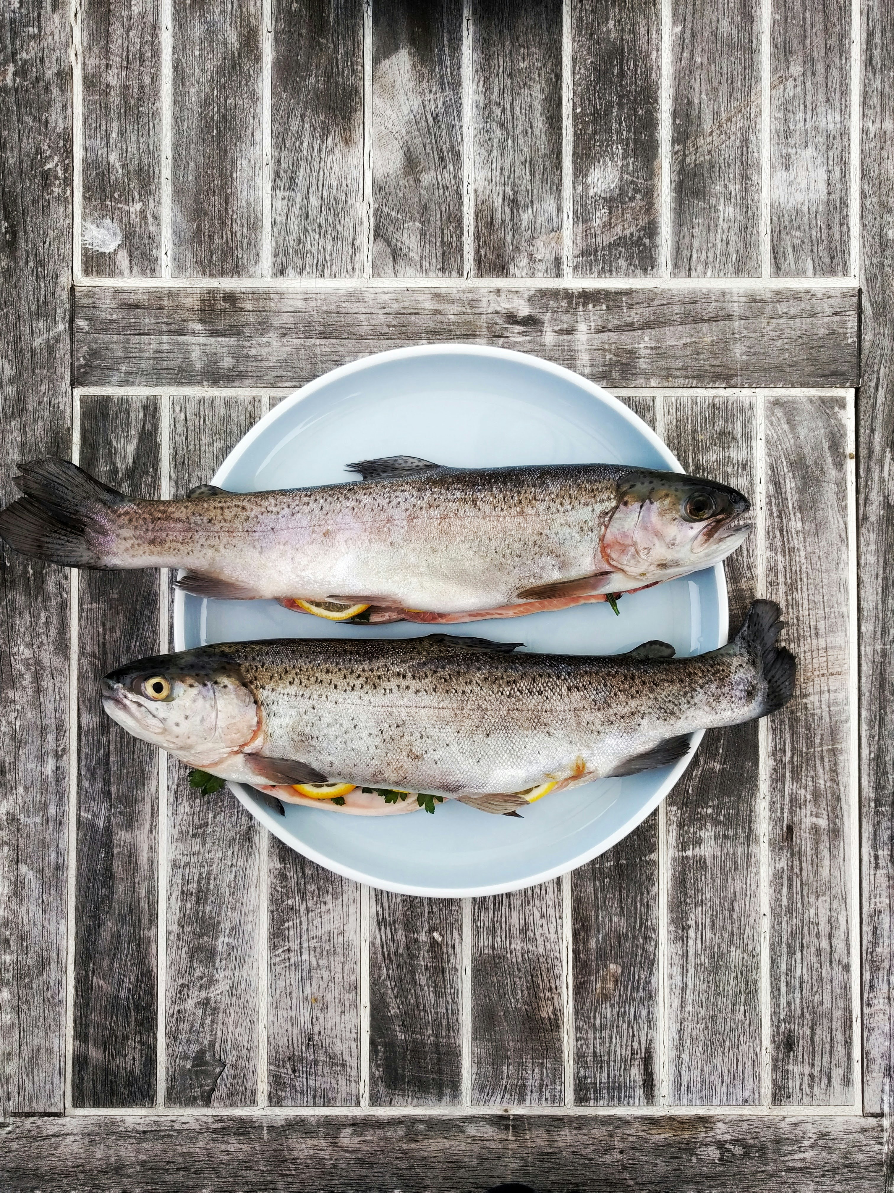 Fisherm