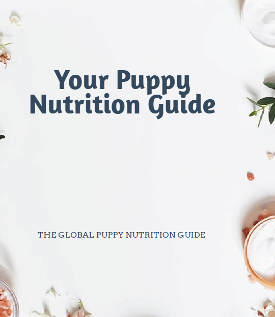 Global Puppy/dog nutrition guide
