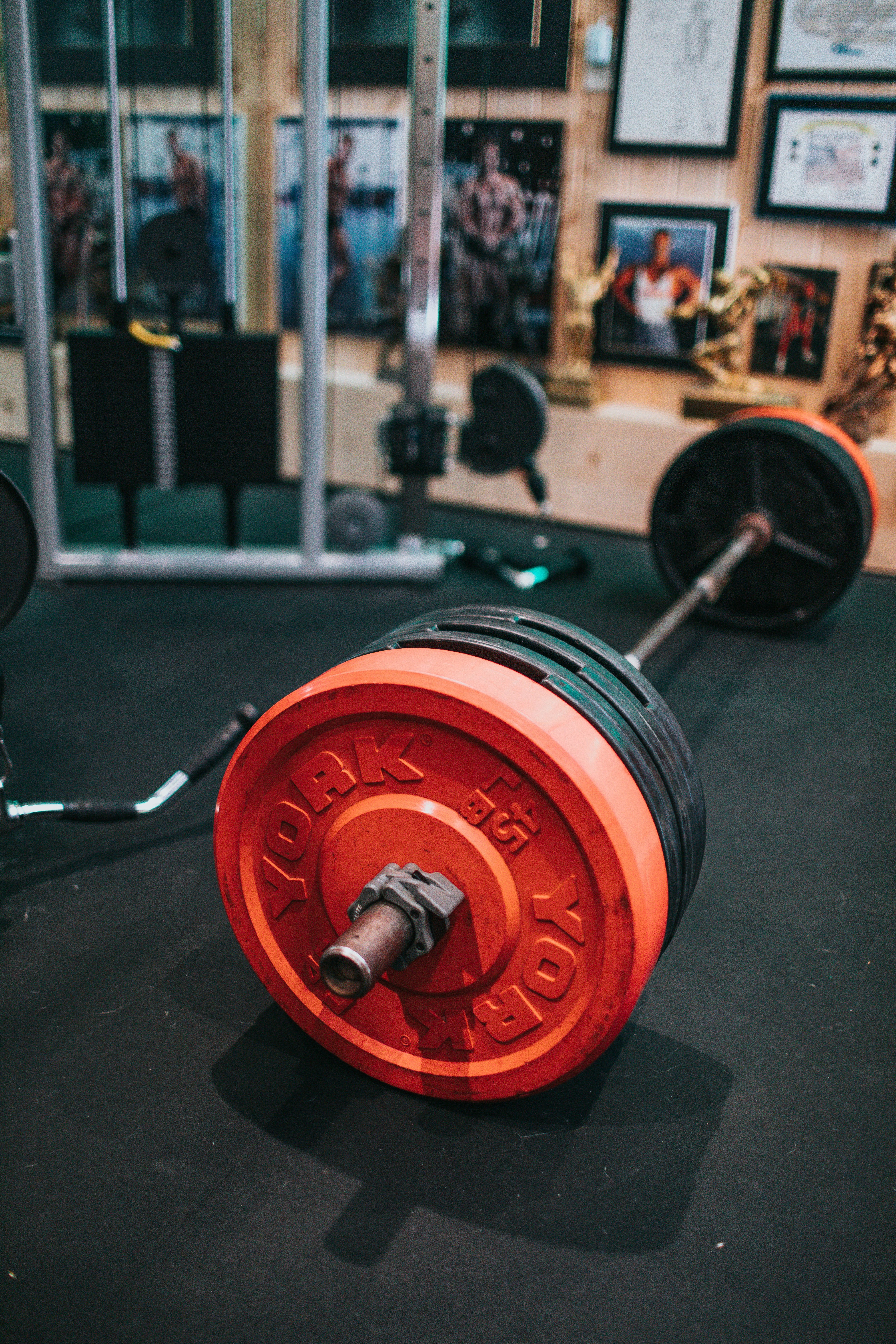 Forge Muscle Core 