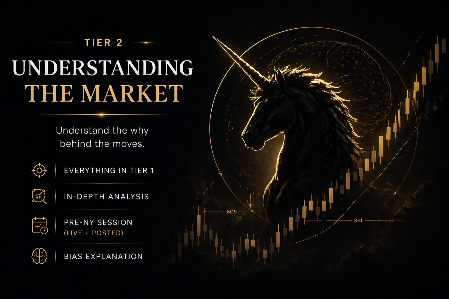Tier 2 — Bias + Analysis