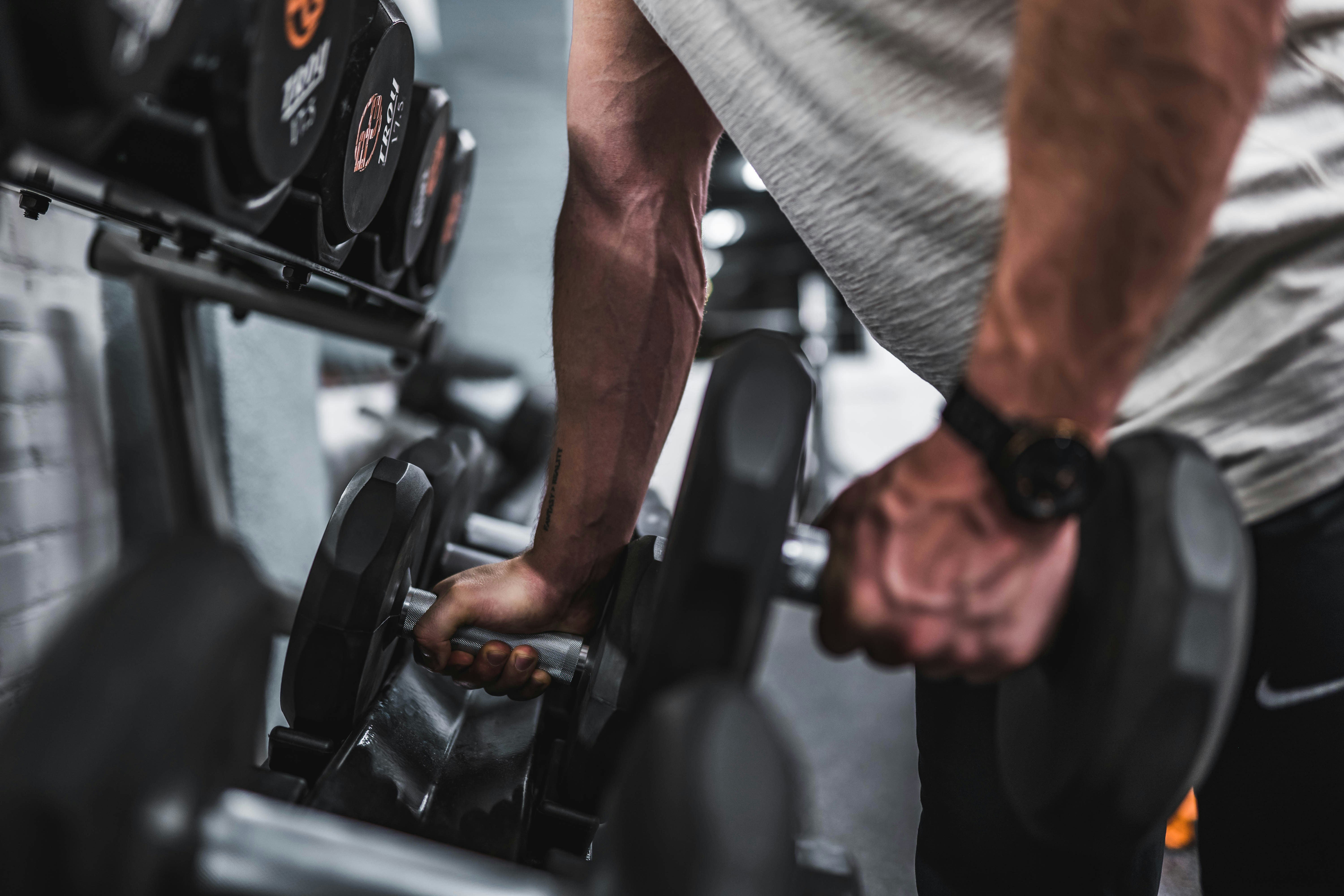 The Muscle Lab