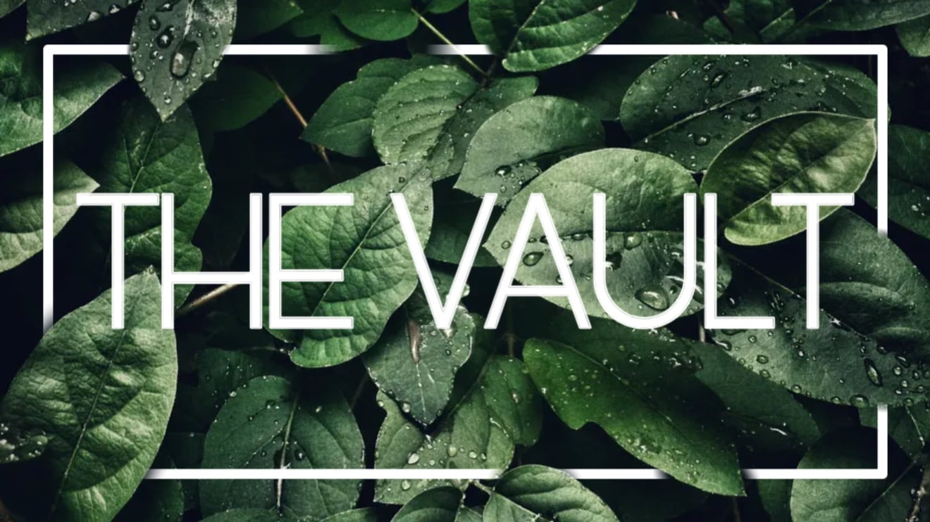 The Vault -  Premium Discord