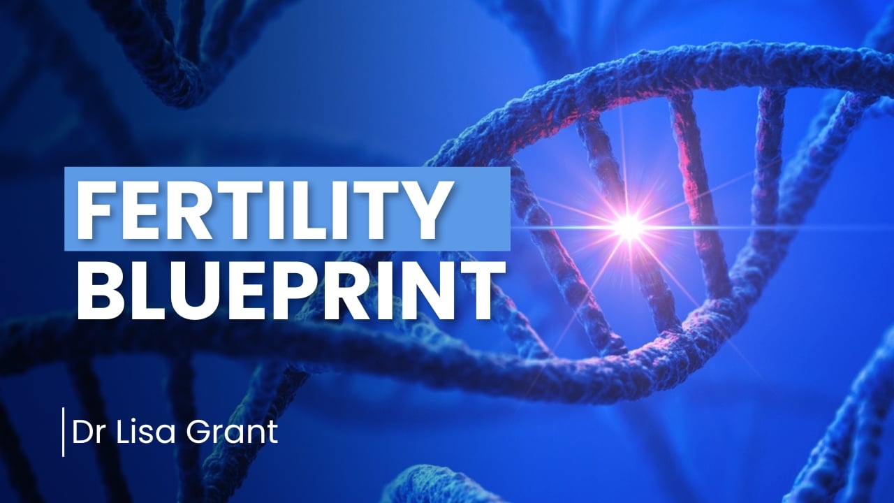 Fertility Blueprint