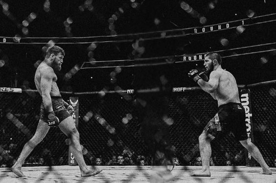 MMAViolence