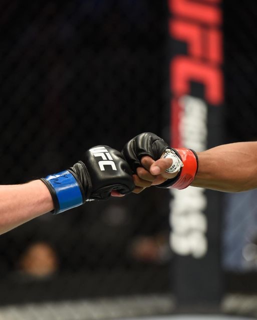 MMAViolence