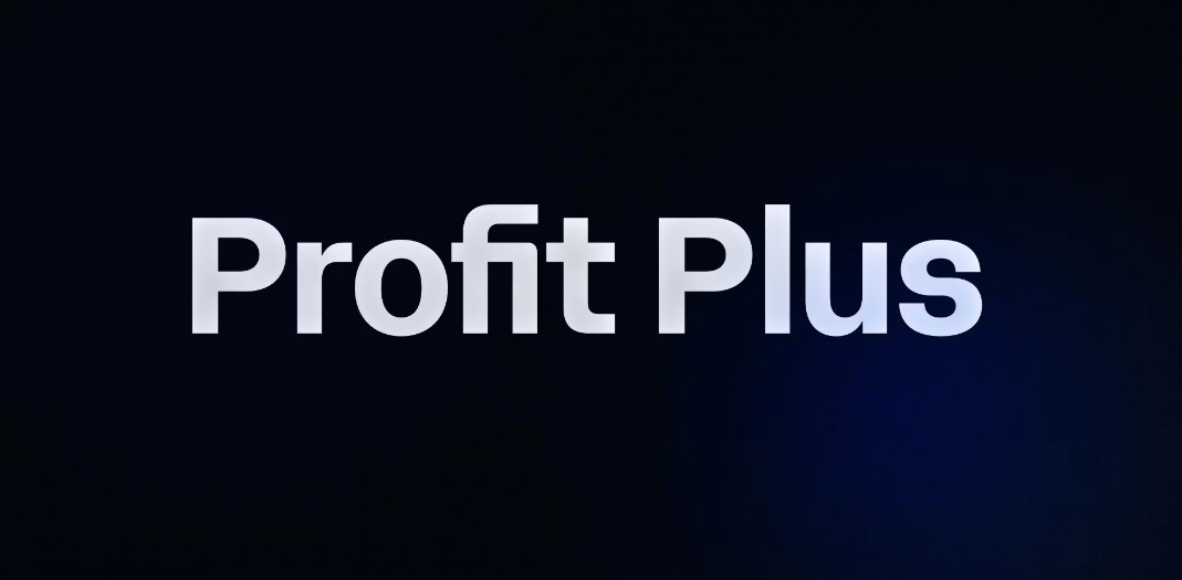 Profit Plus 1 on 1 Mentorship 