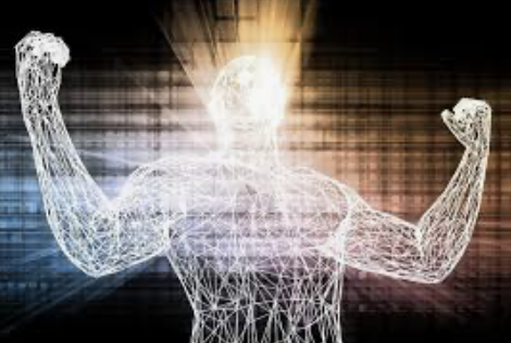 The Longevity Blueprint