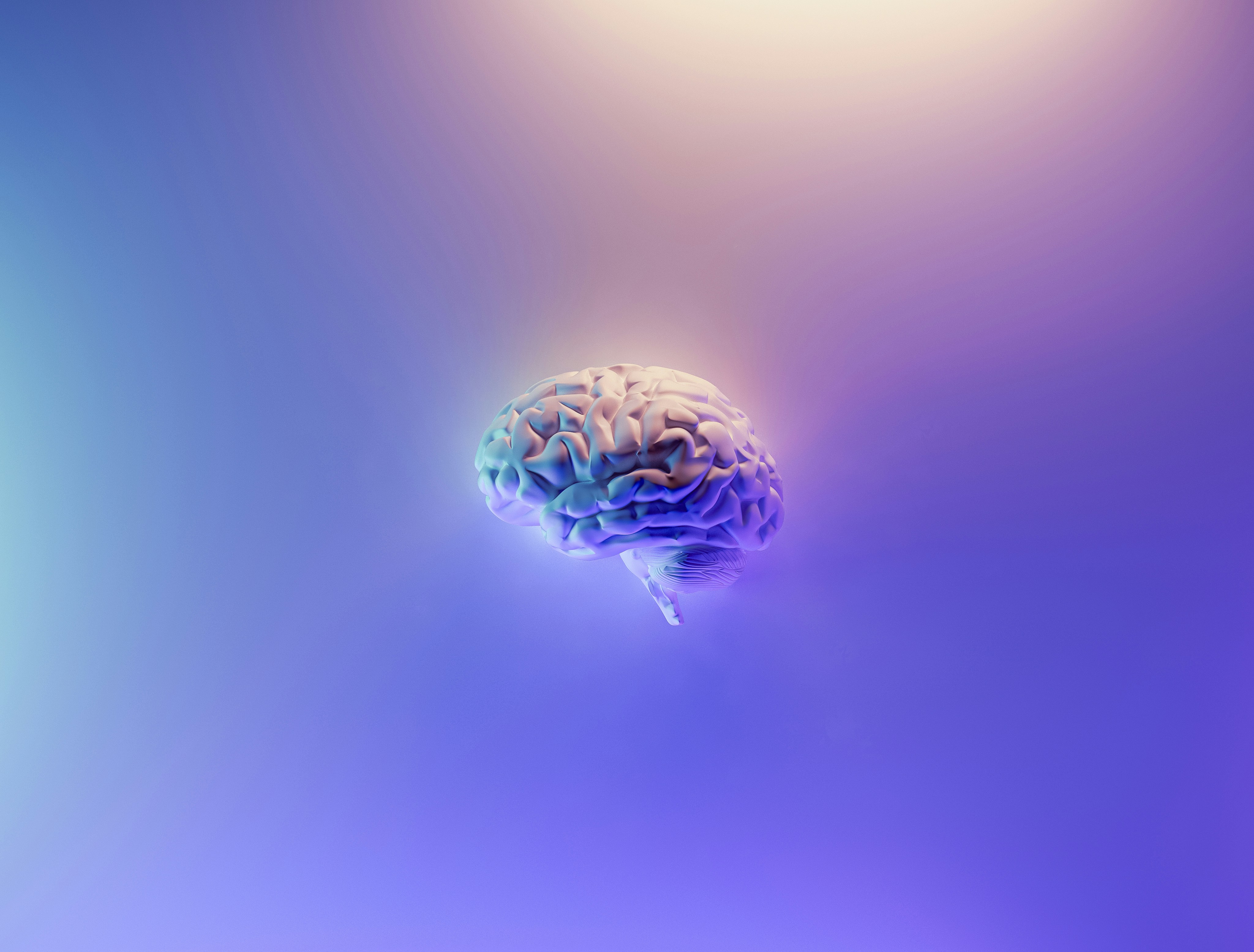 MindBodySoul