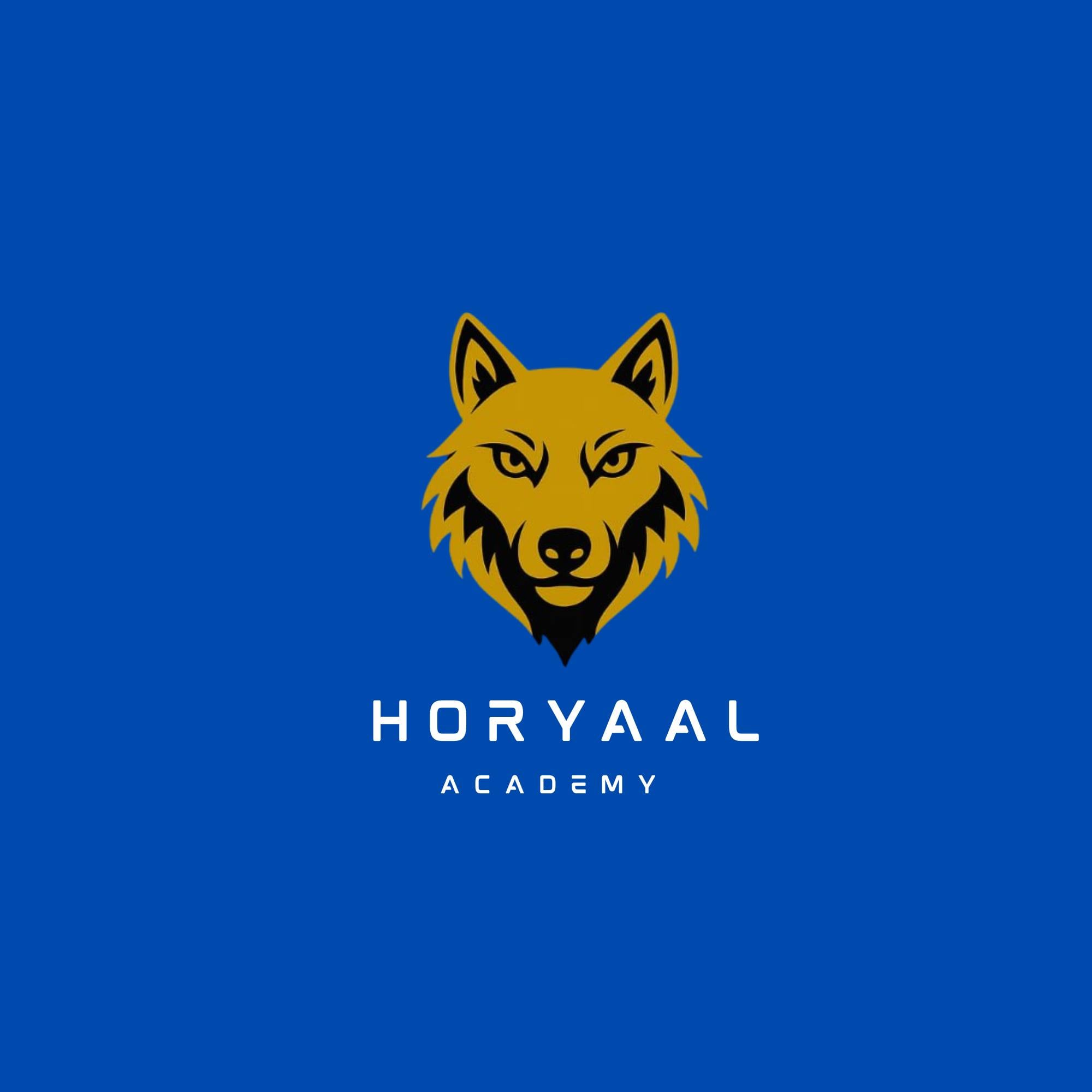 Horyaal Academy mentorship 