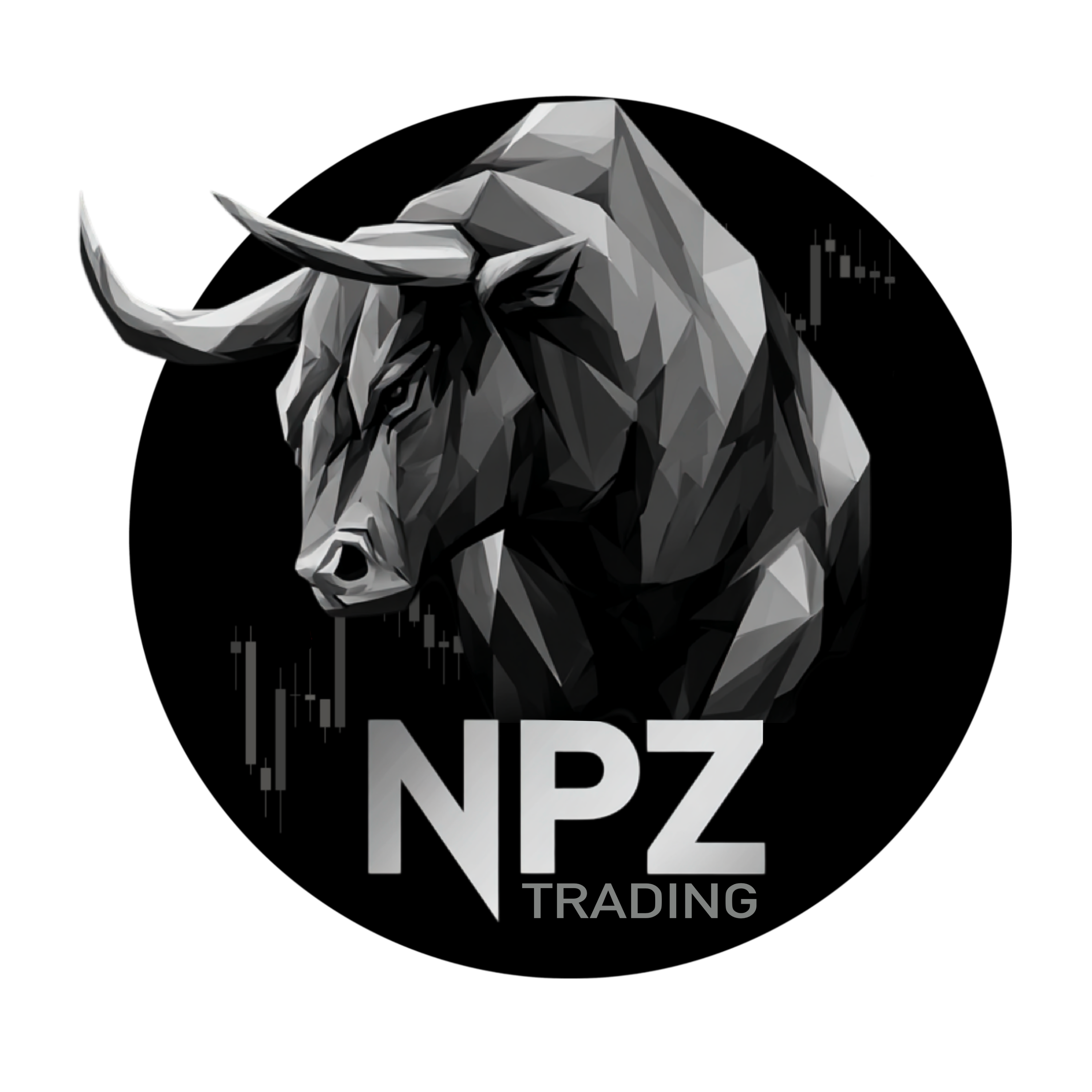 NPZ Trading banner