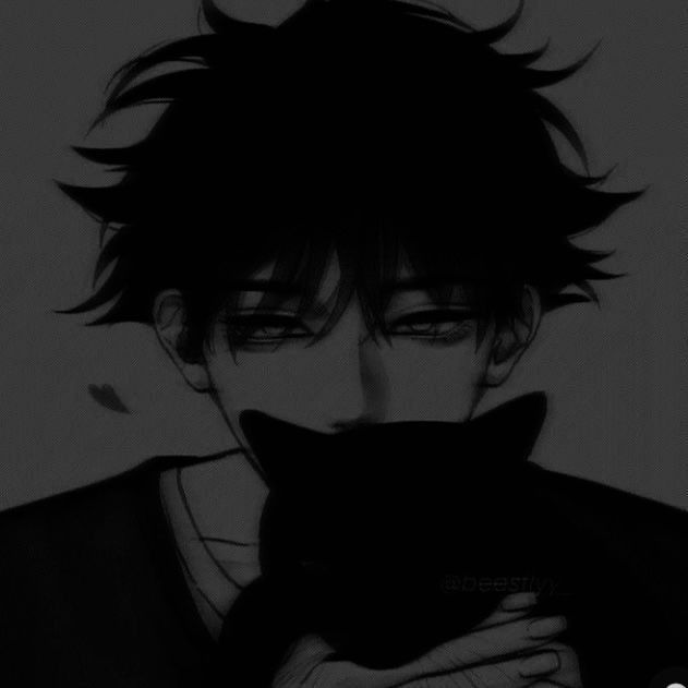 Shadow