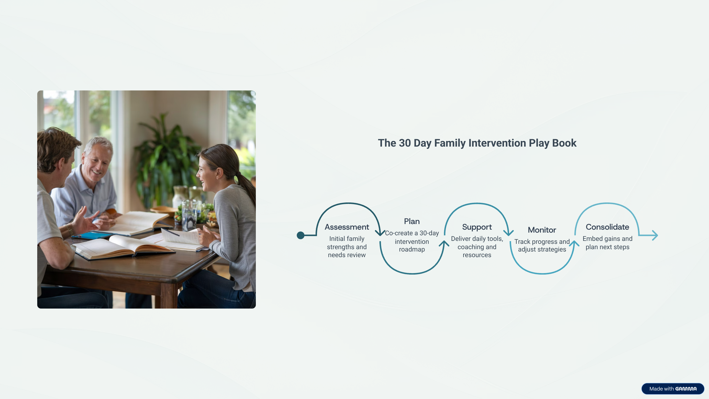 The 30 Day Family Intervention Play Book