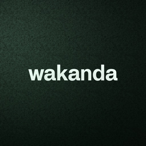 Wakanda Minimalist Wallet