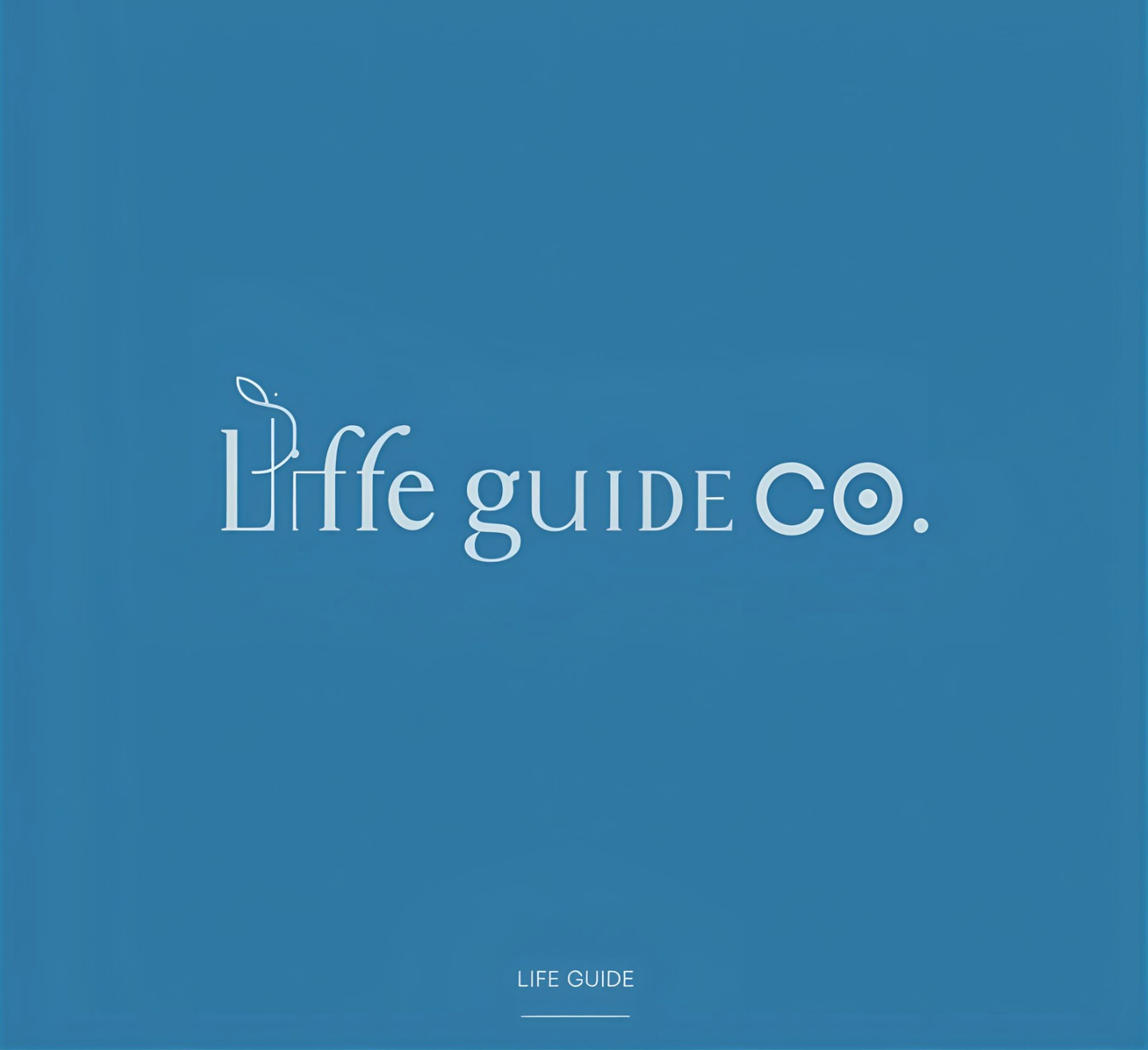 Life Guide Co banner