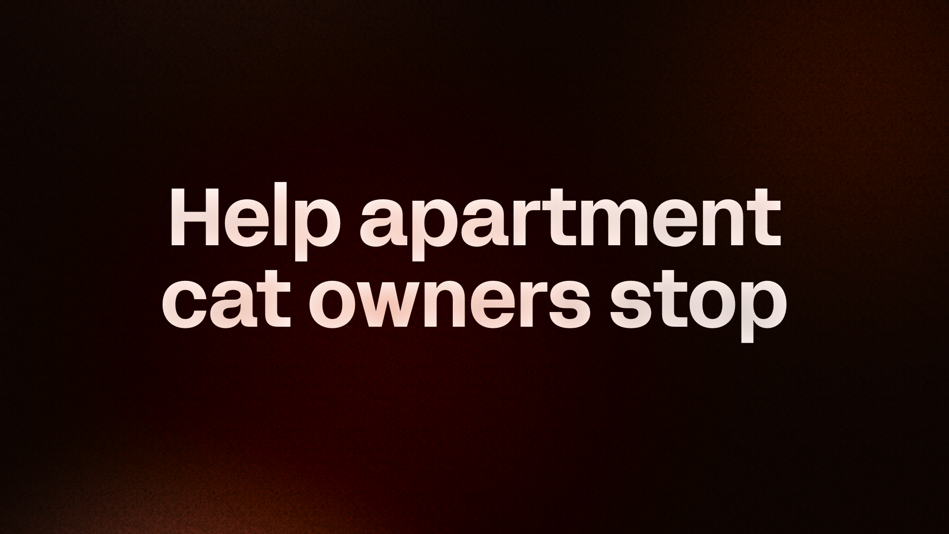 Apartment Cat Calm Guide