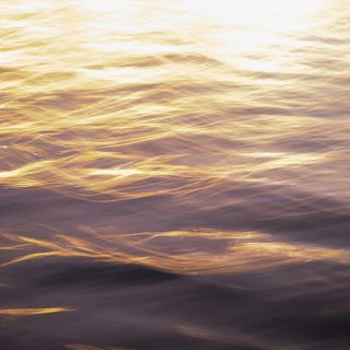 Leadership Identity Healing 