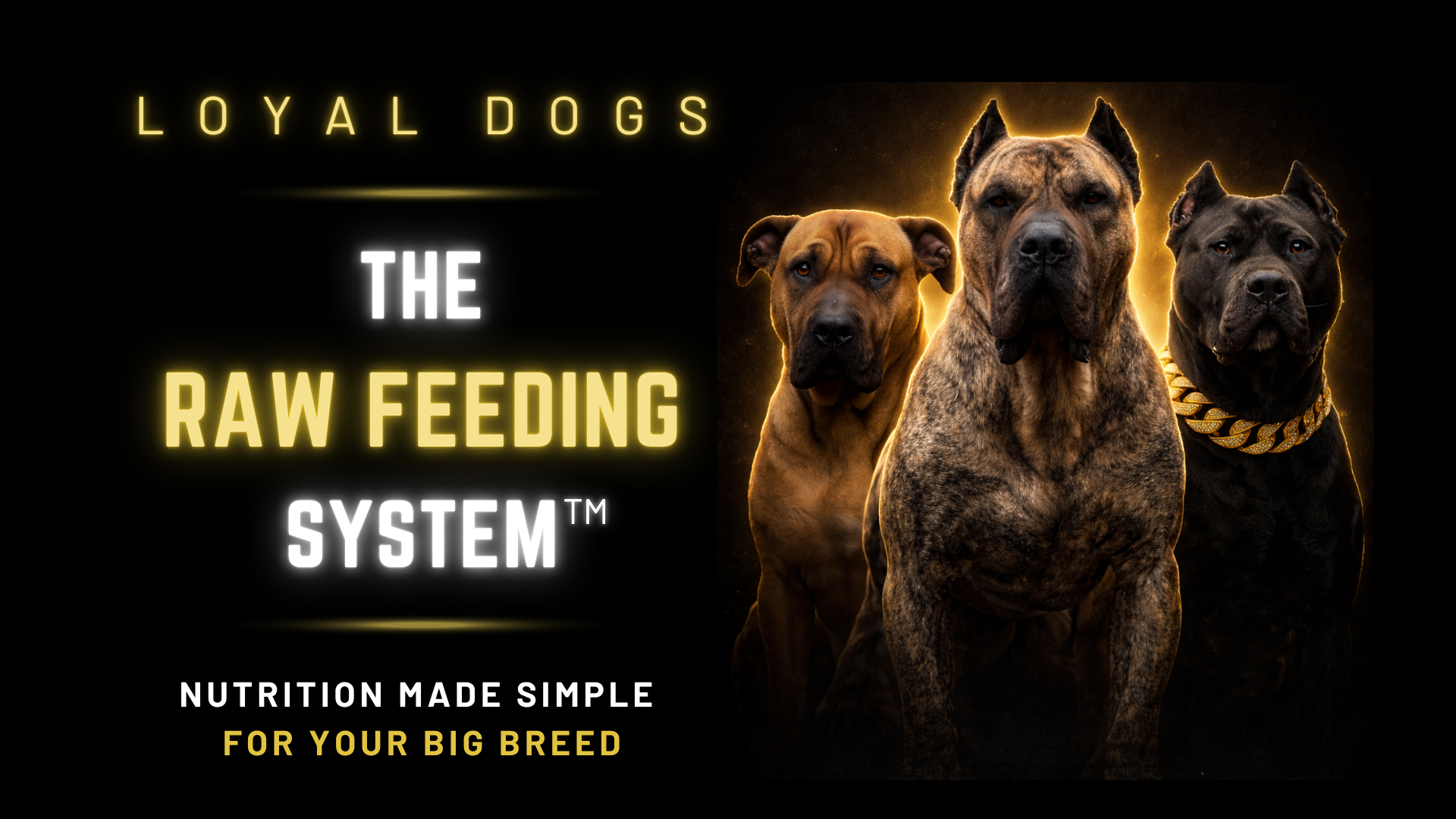 Loyal Dogs: The Raw Feeding System™