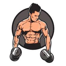 All About Fitness banner