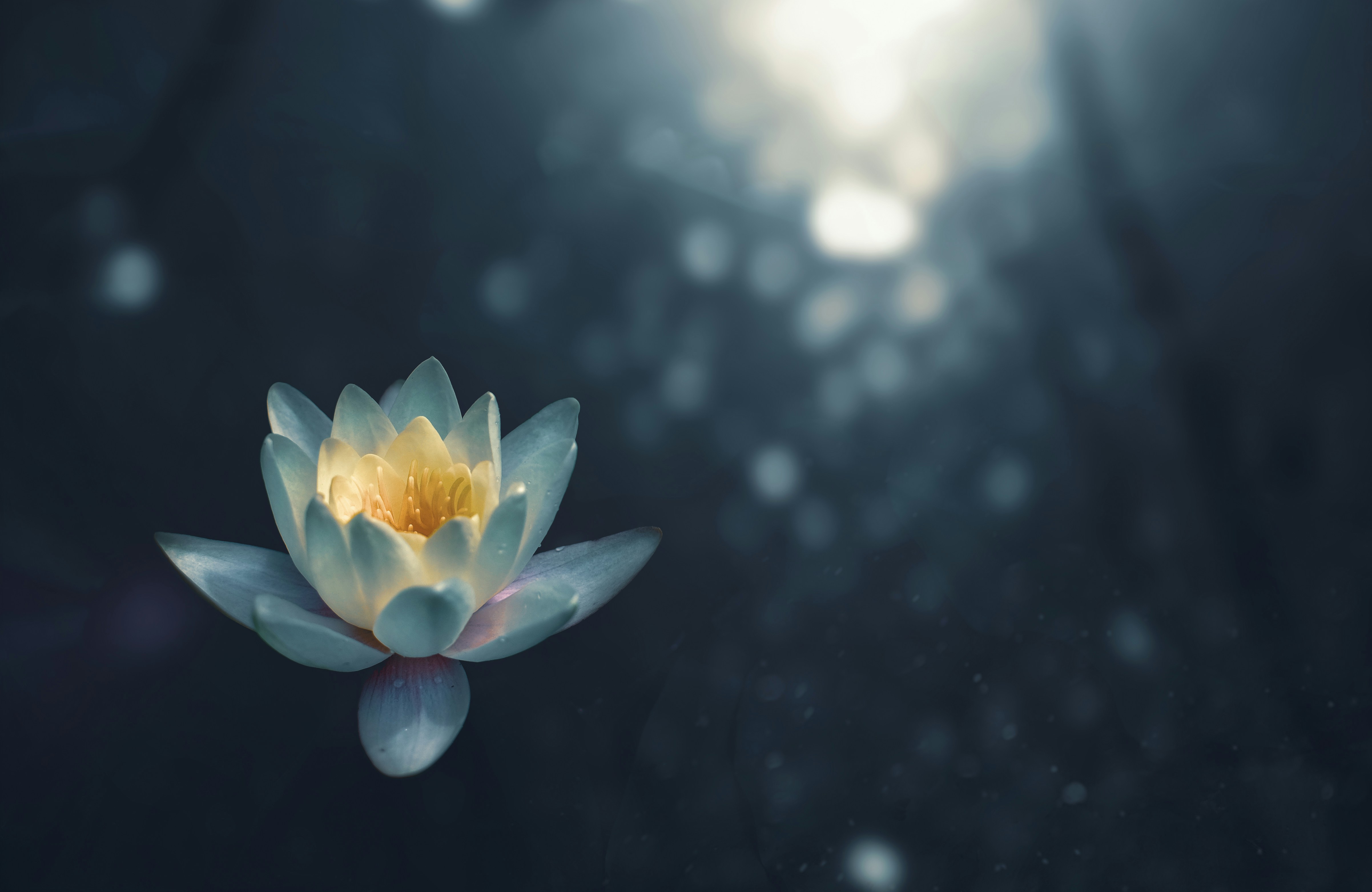 Mindful Morning Reset