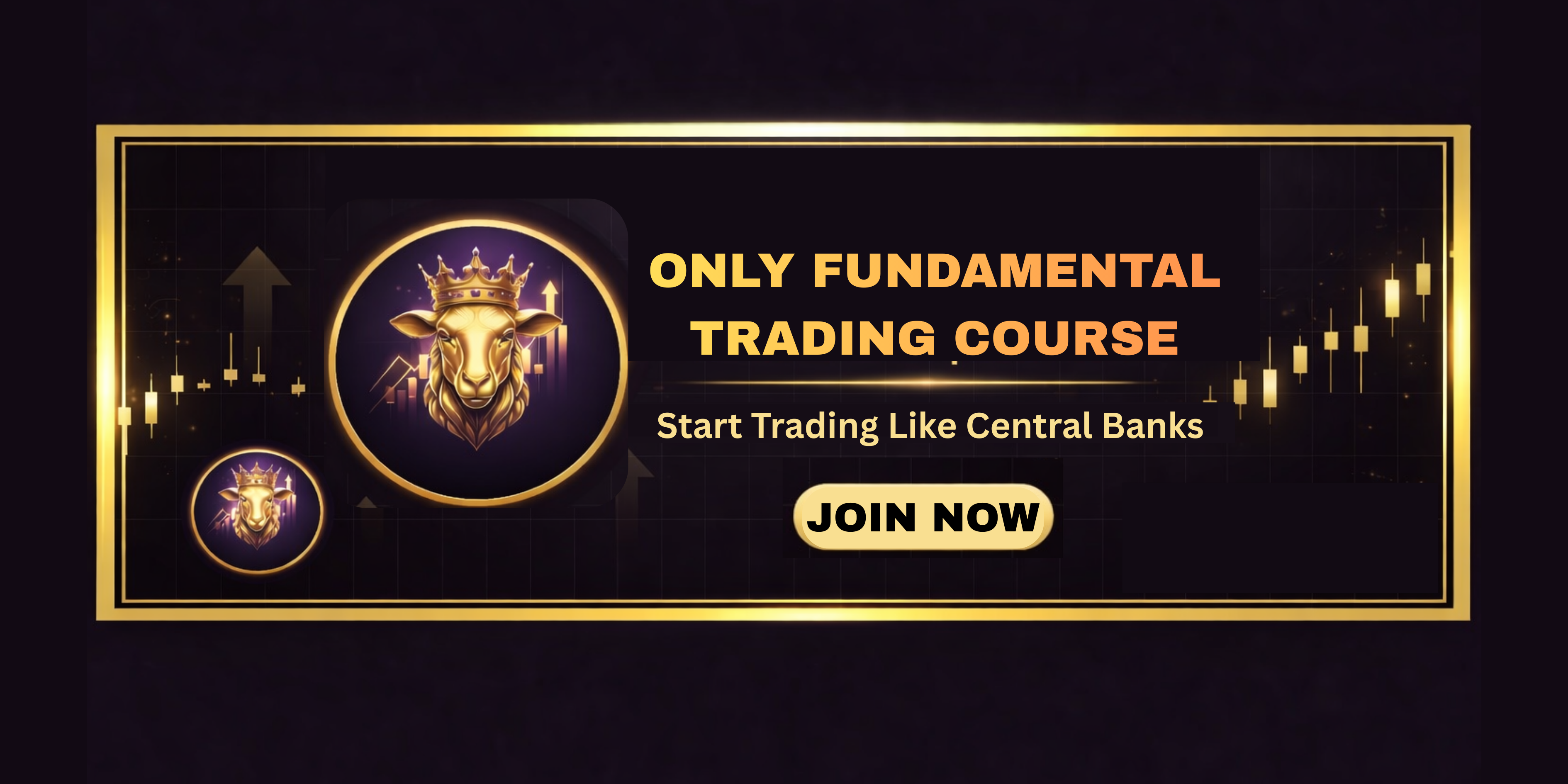 Only Fundamental Trading Course