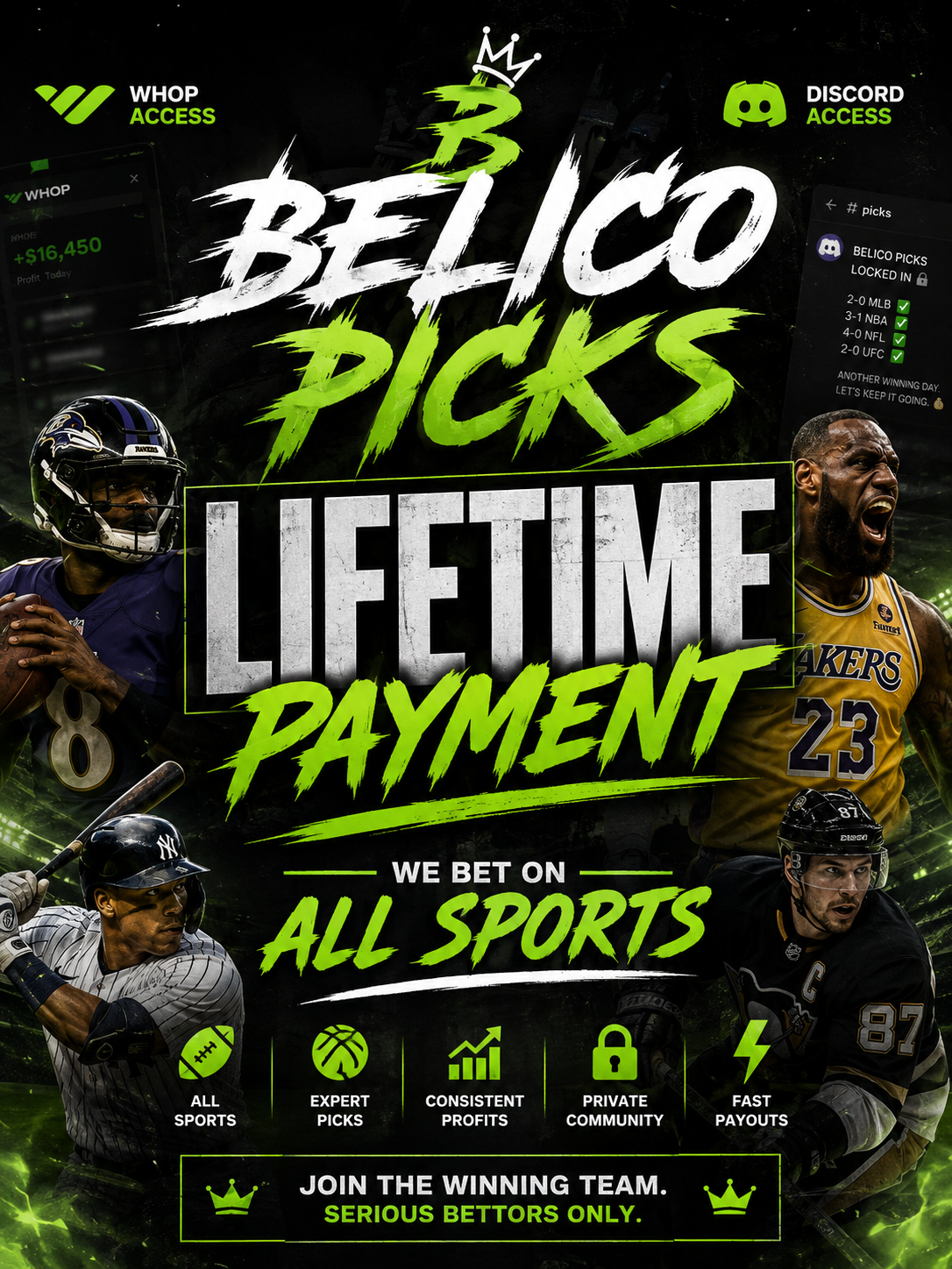 BELICO PICKS LIFE TIME 