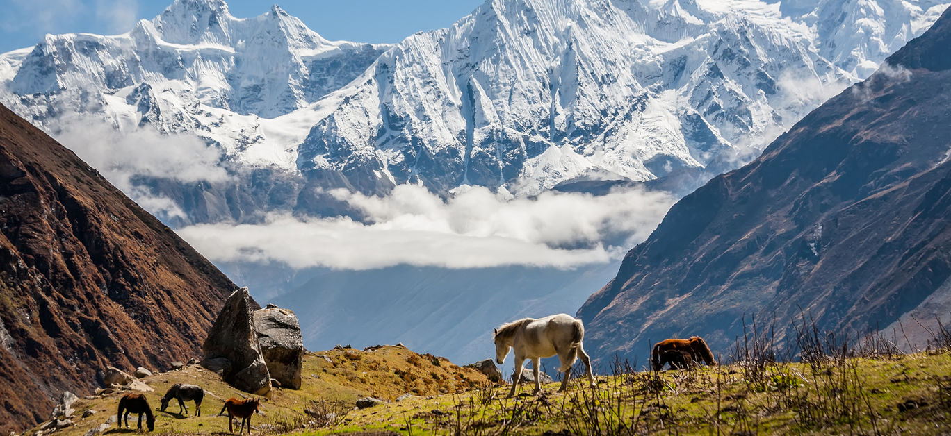 Top 5 Hidden Treks in Nepal