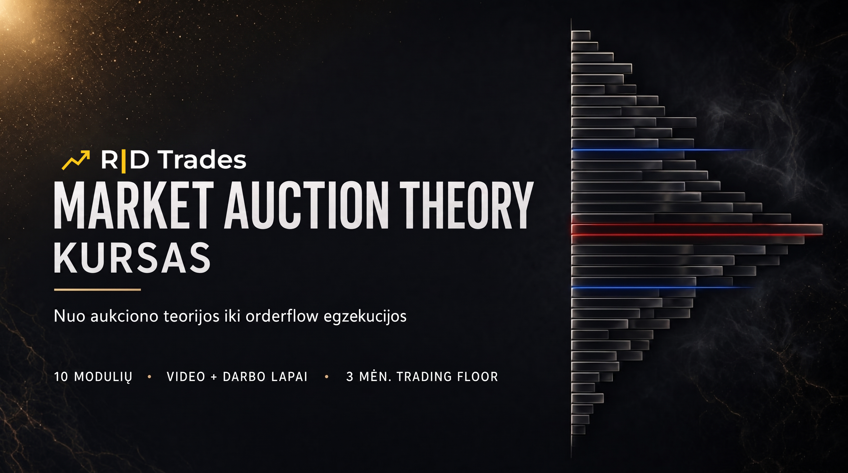 Market Auction Theory Kursas
