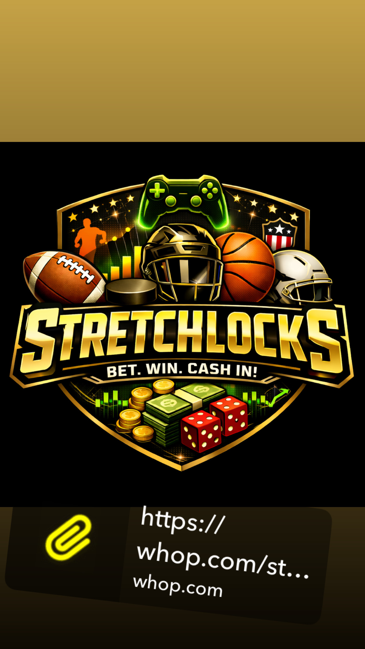 StretchLocks 