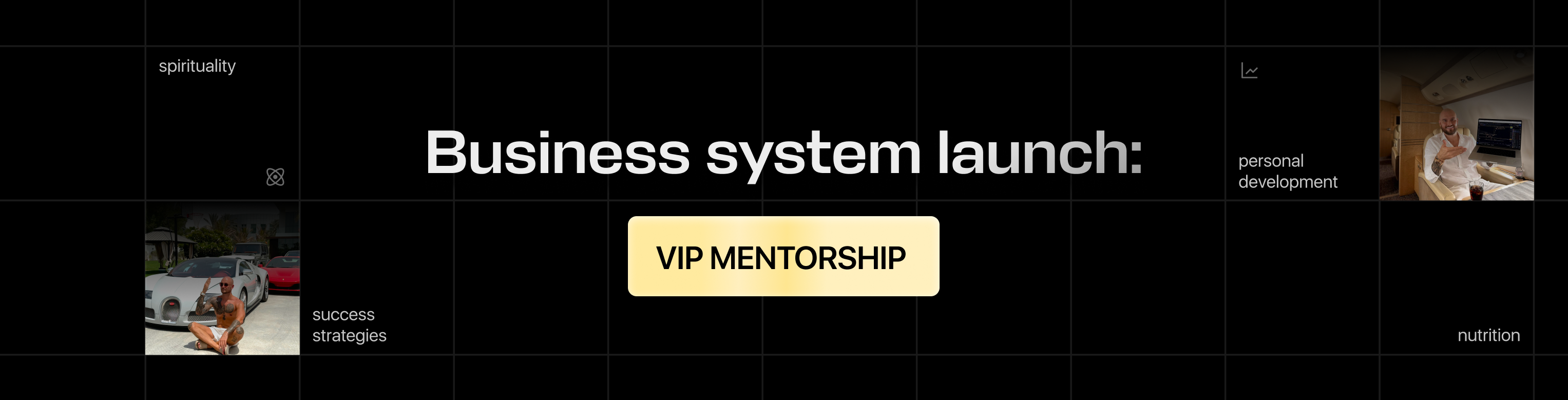 Business system launch: VIP MENTORSHIP