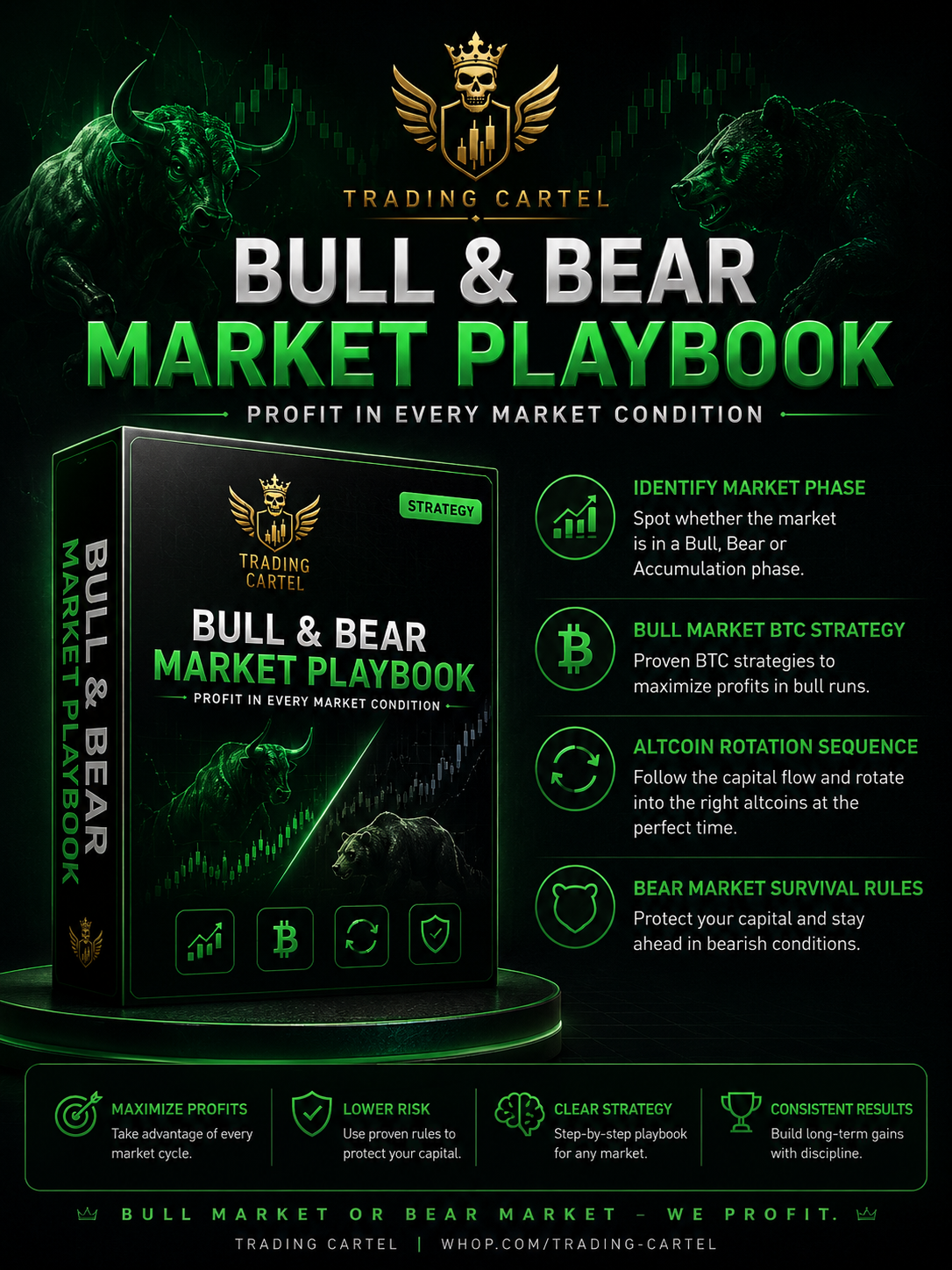 Bull & Bear Playbook