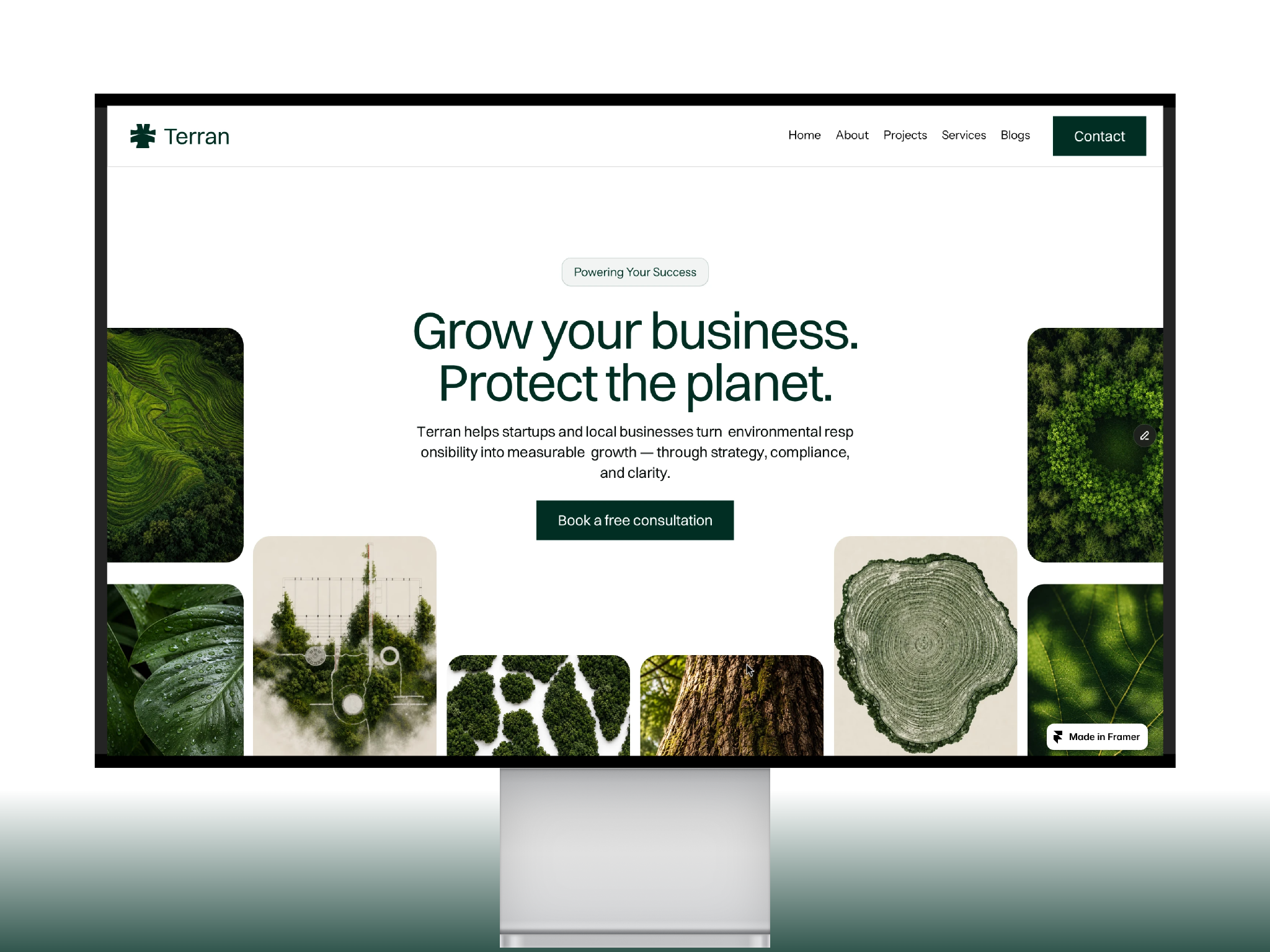 Terran - Environmental Consultancy Template