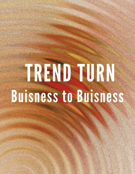 TrendTurn B2B