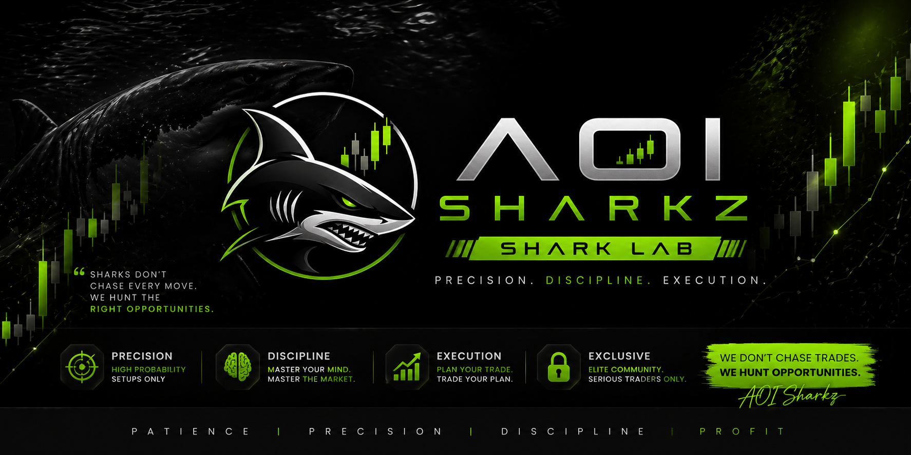 SHARK LAB MENTORSHIP