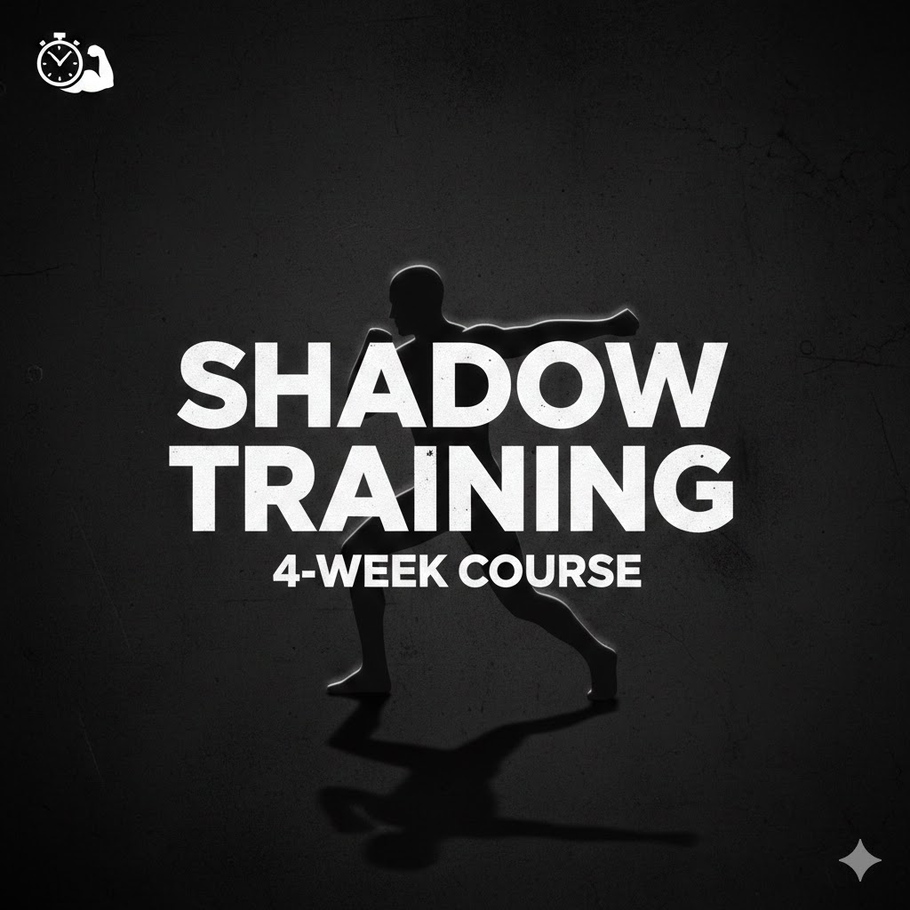 Shadow Training