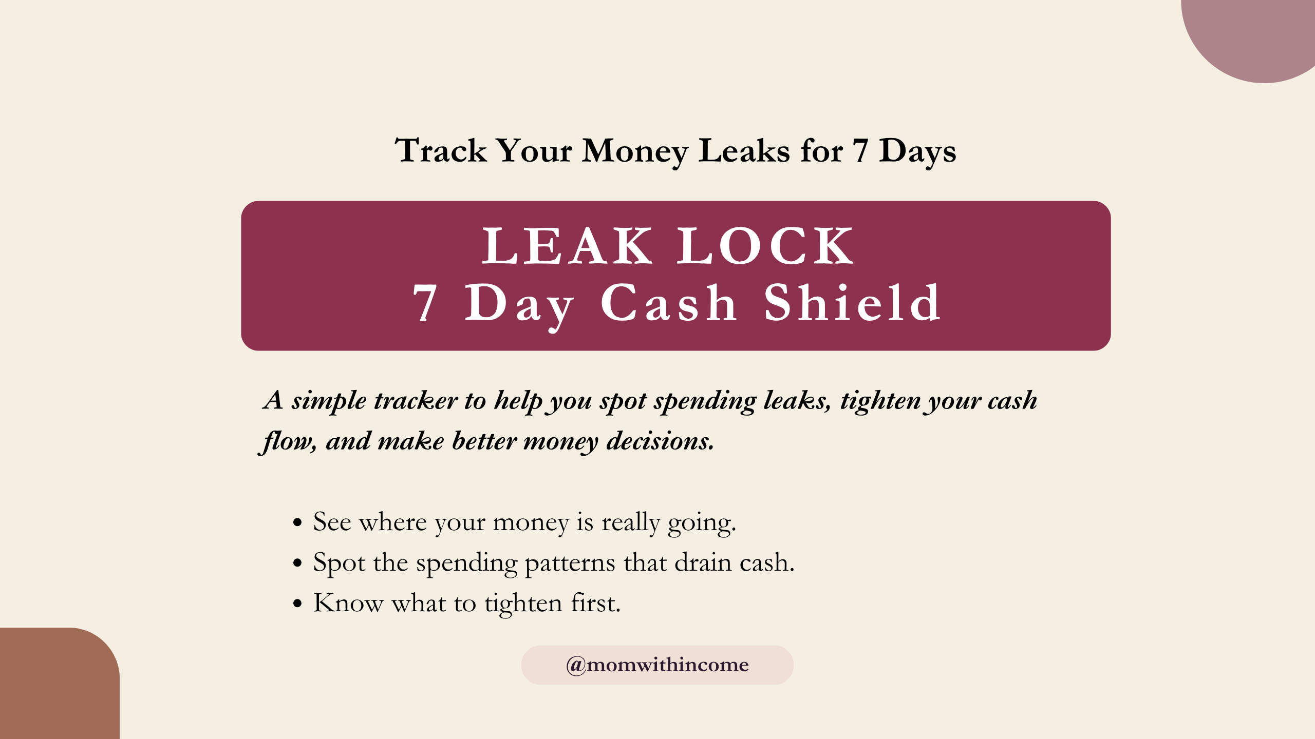 Leak Lock - 7 Day Cash Shield 