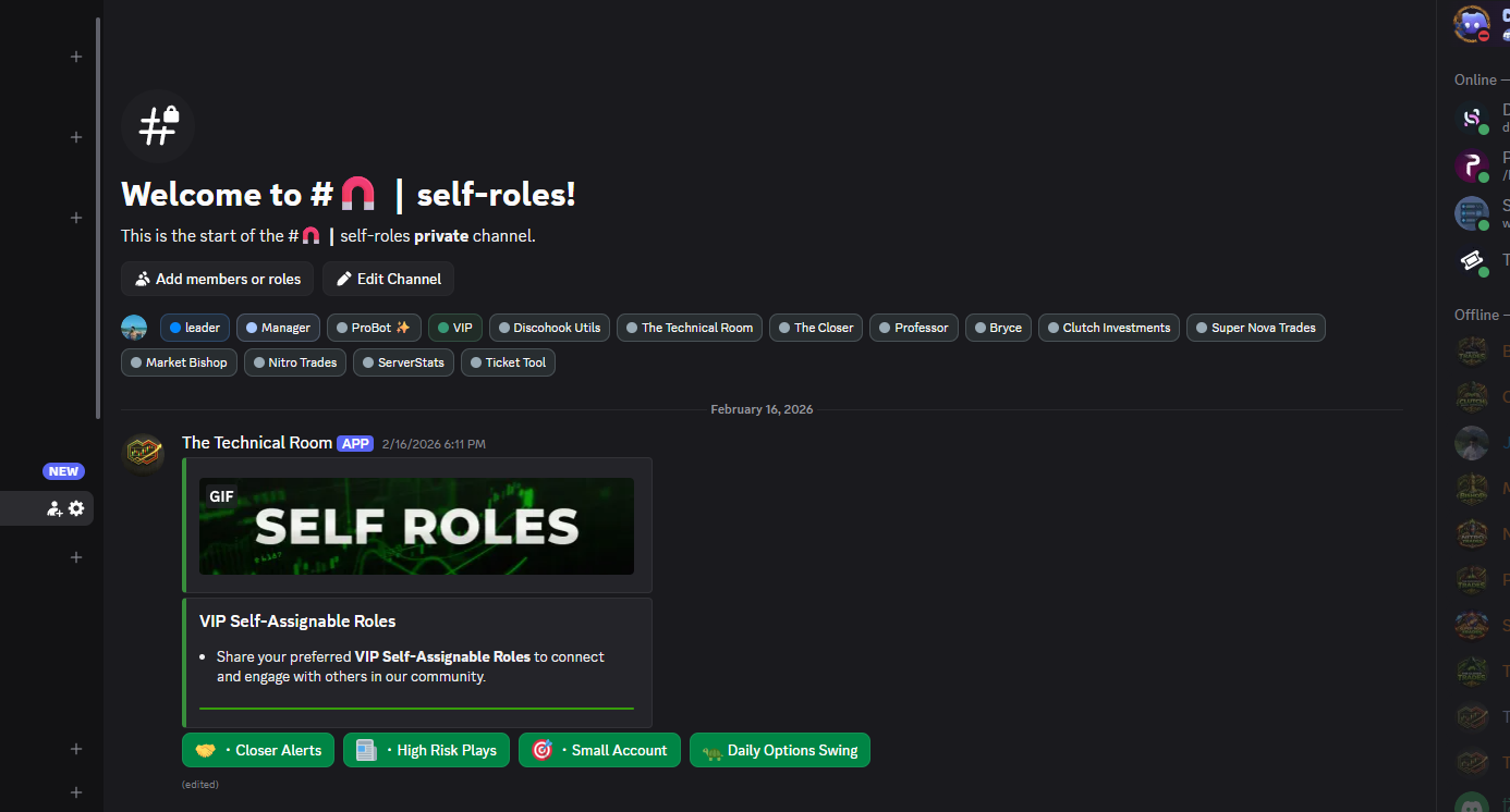 VIP Discord