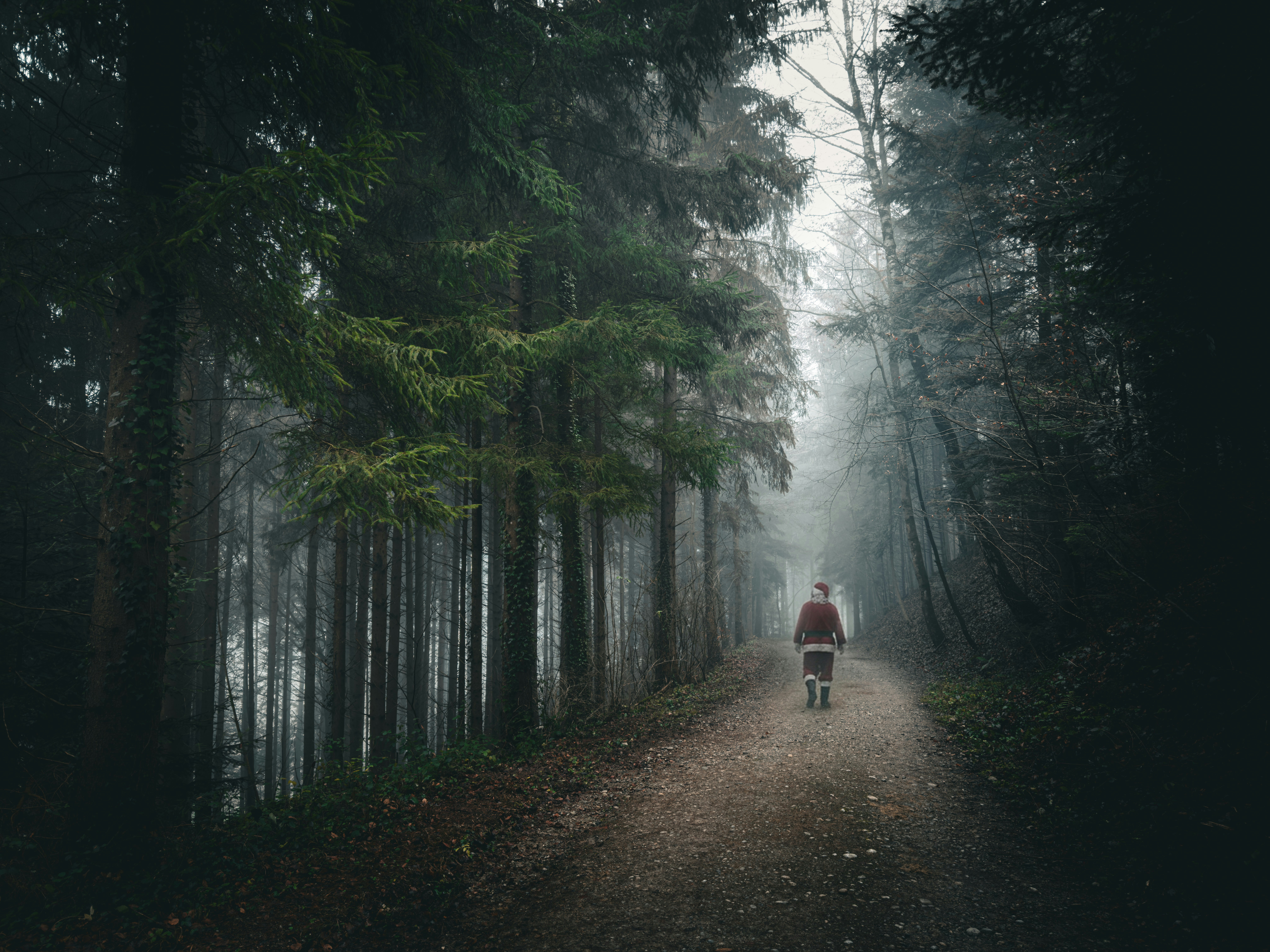 Course: Debt-Free Sprint