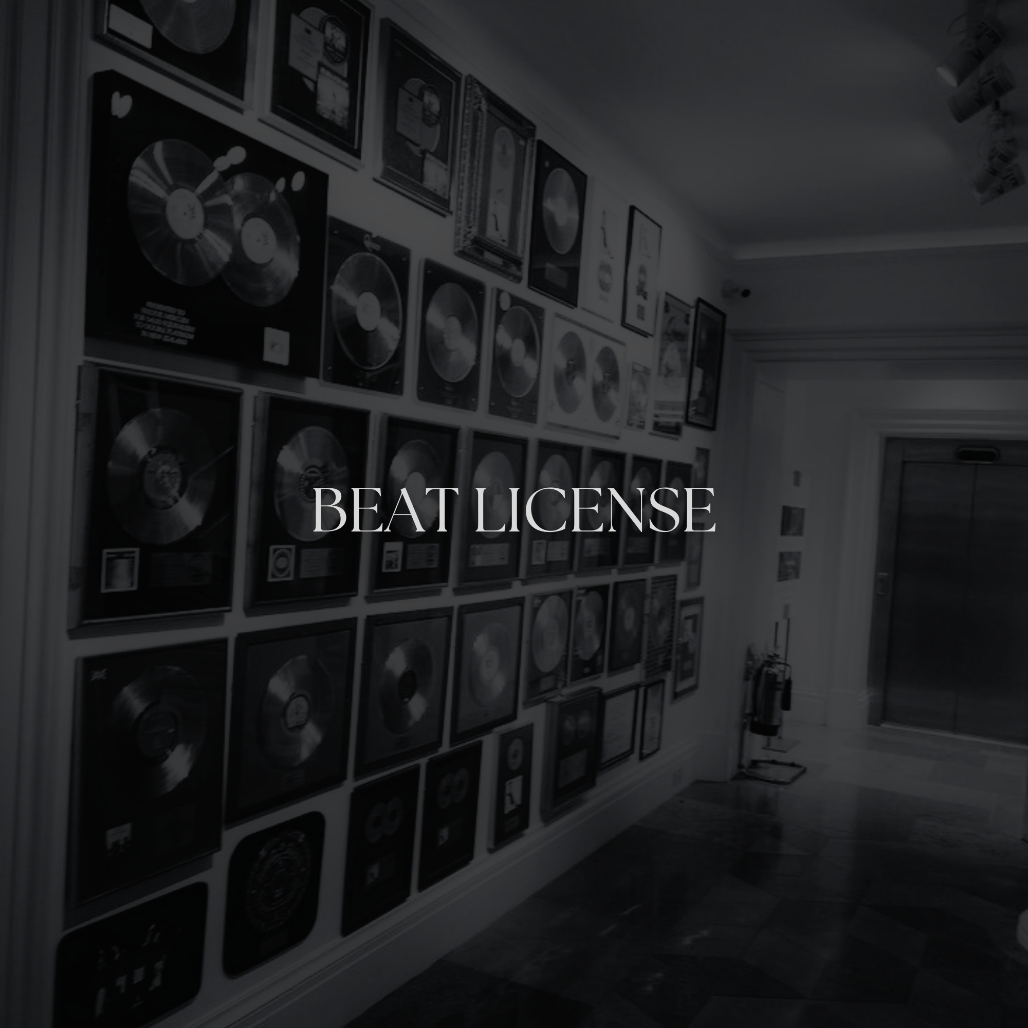 EXCLUSIVE LICENSE