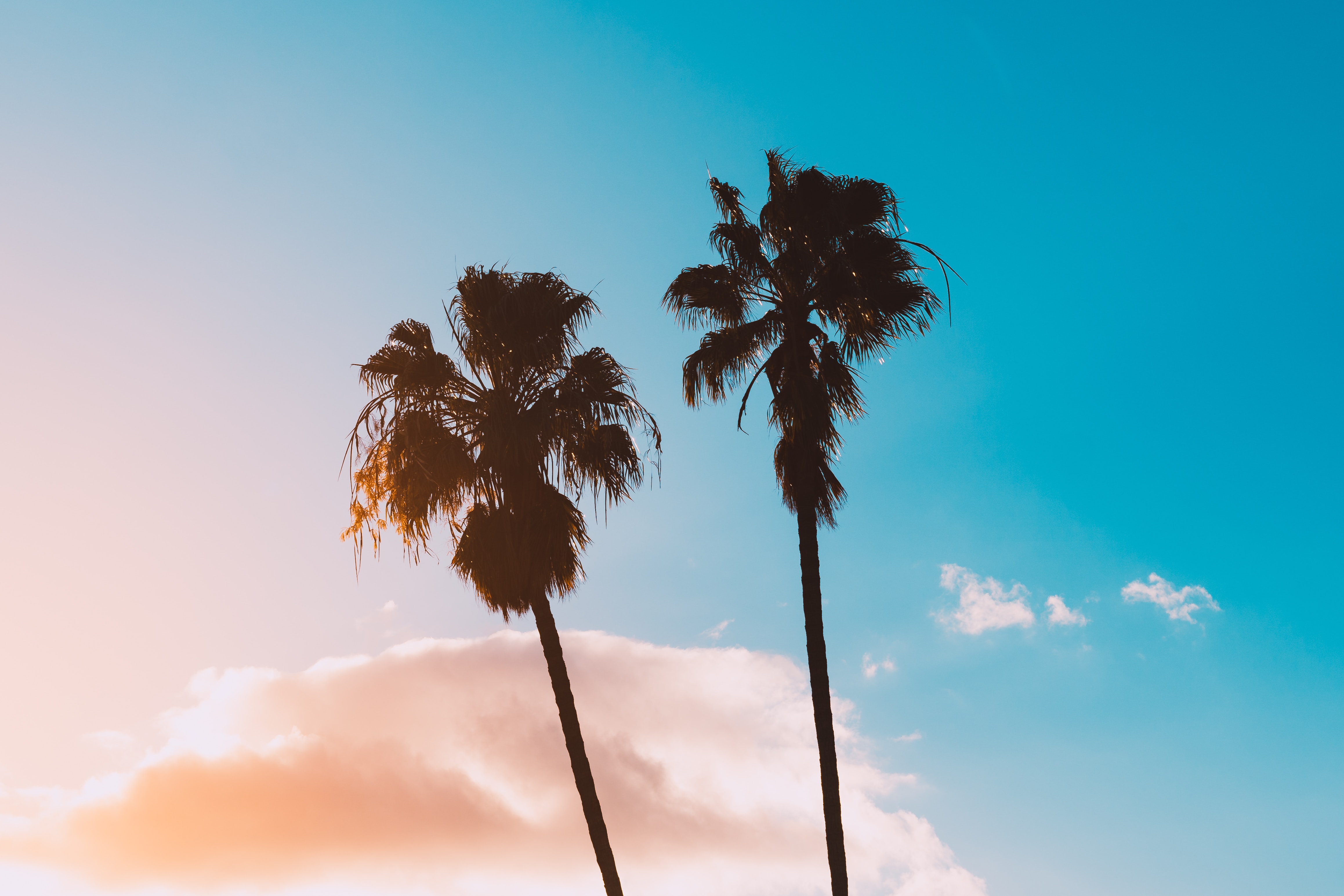 Airbnb Akademie mit Mogli & Ali - International