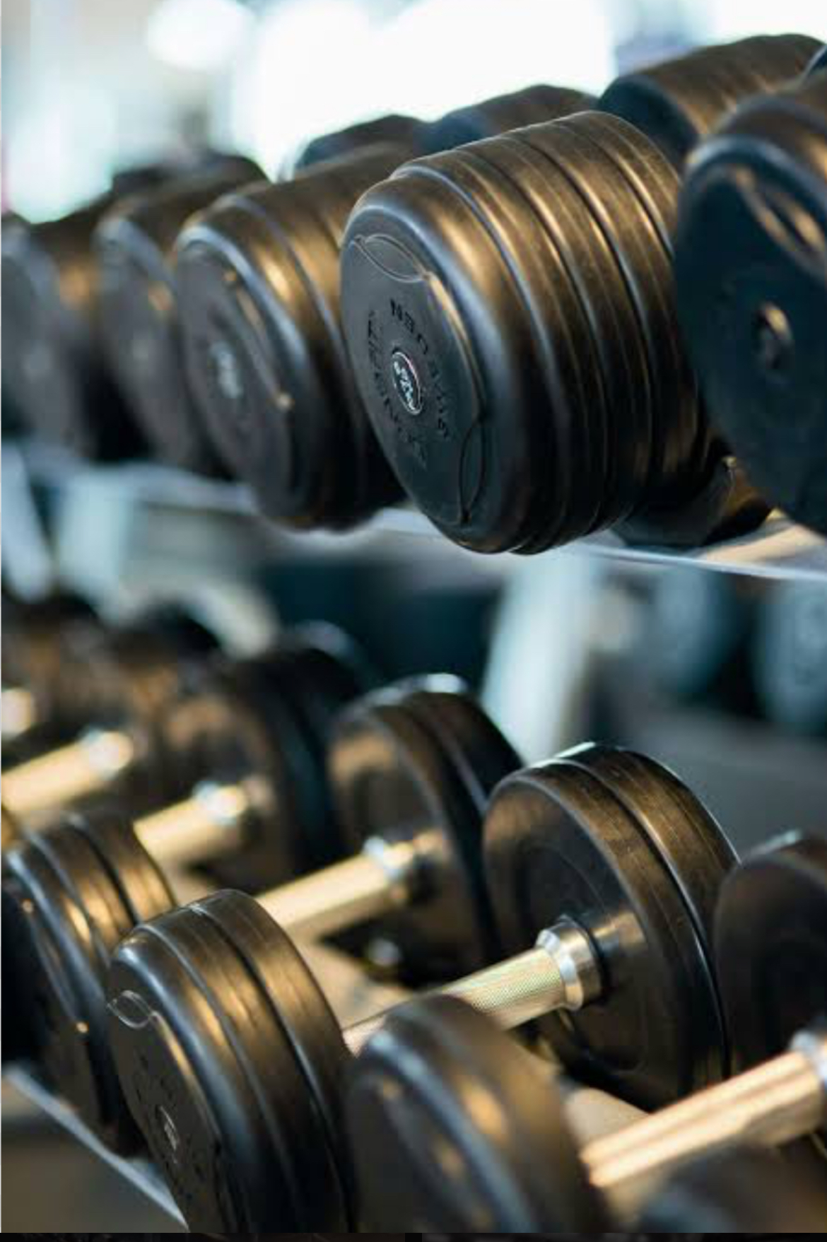 fitness book