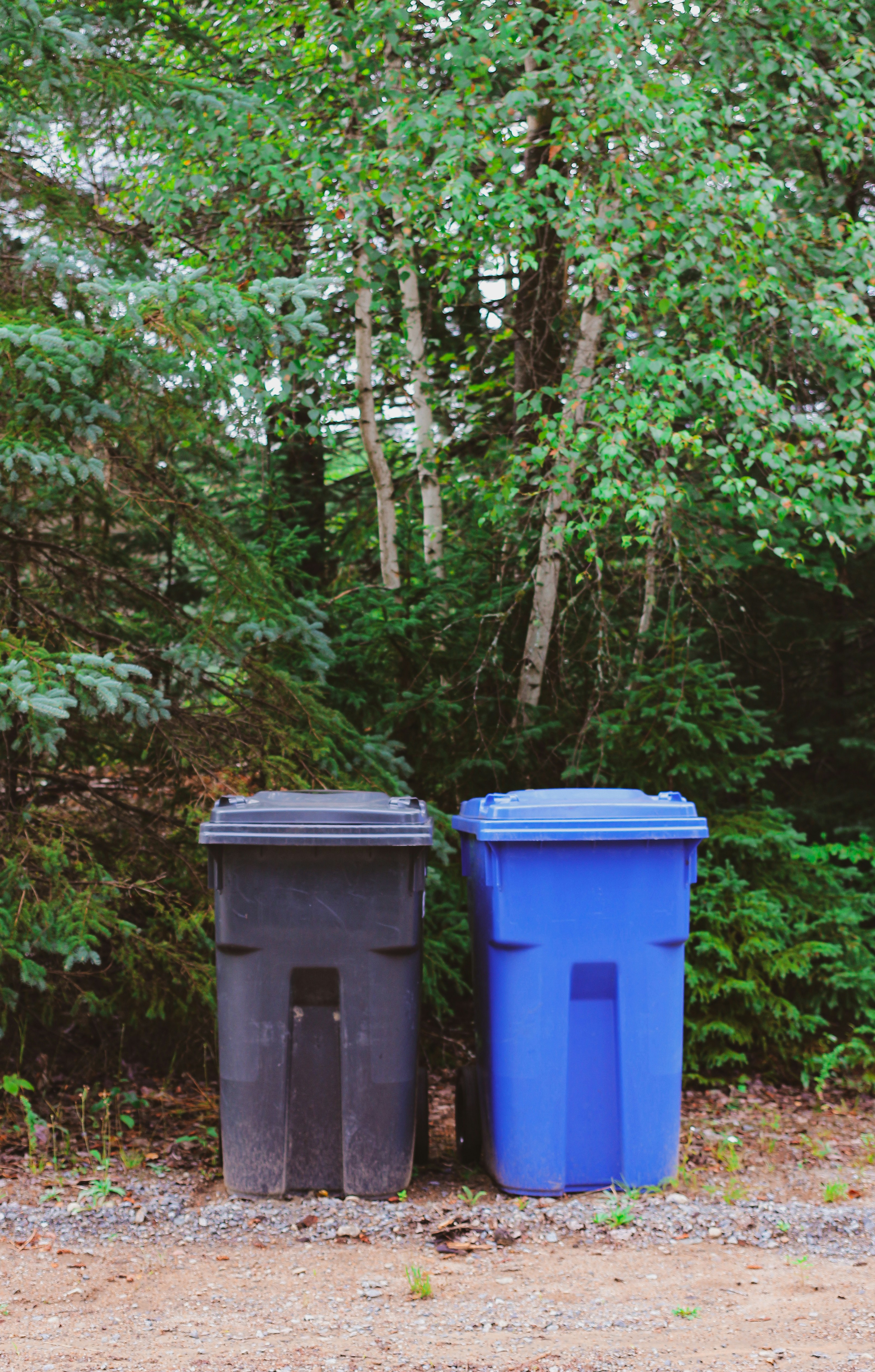 Weekly Bin Cleaning 