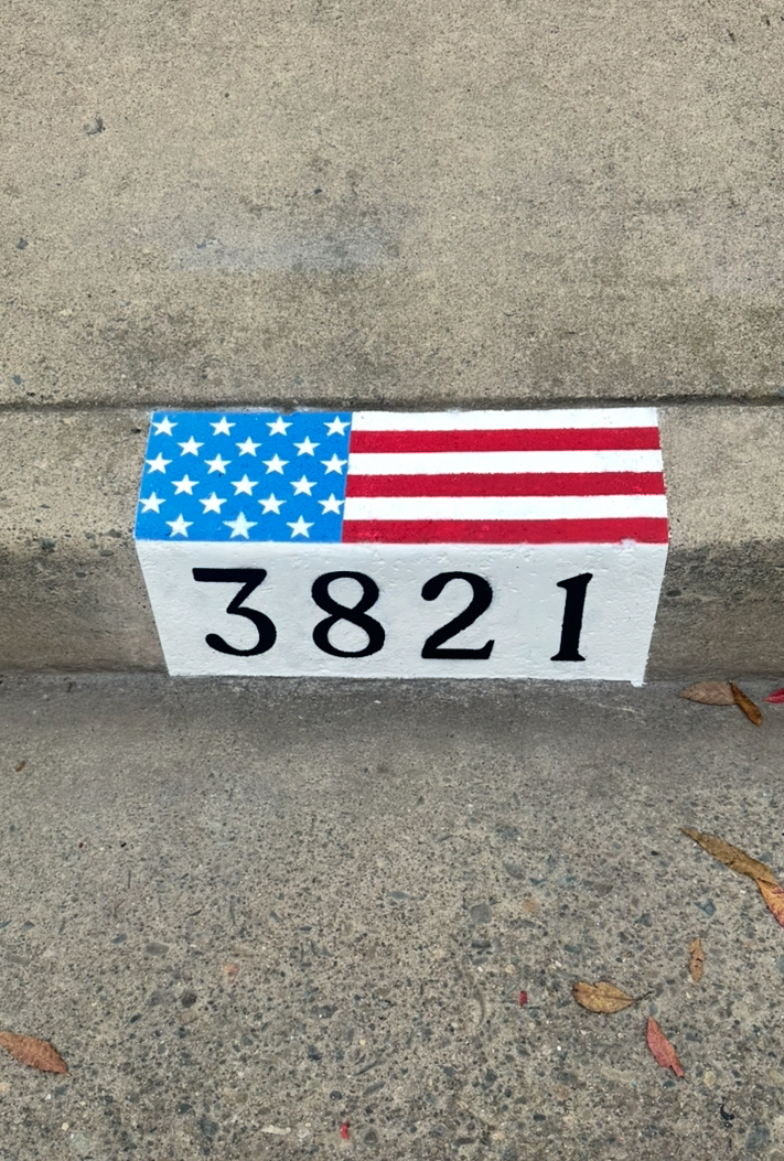 American Flag + Numbers 