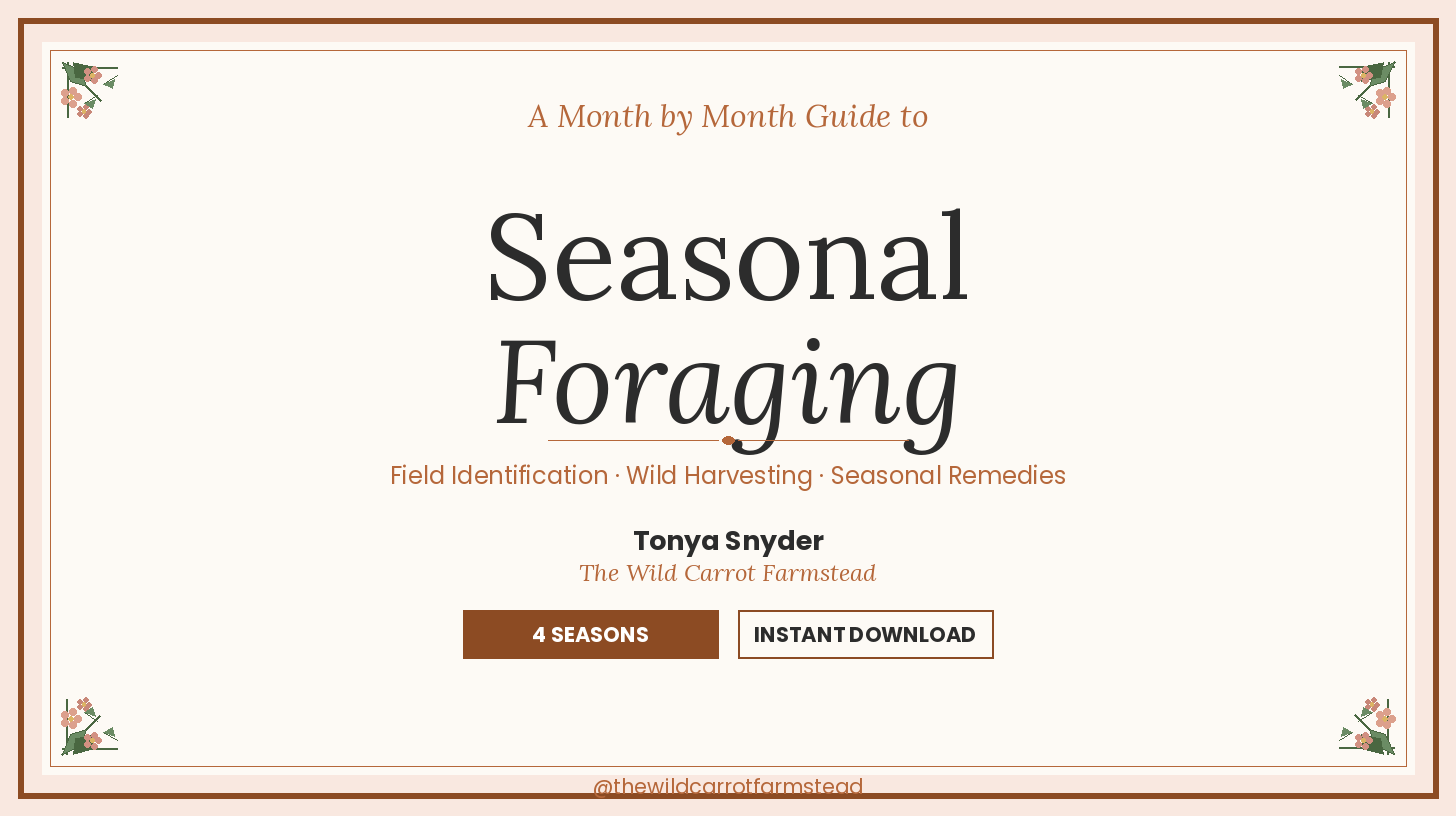Seasonal Foraging Guide