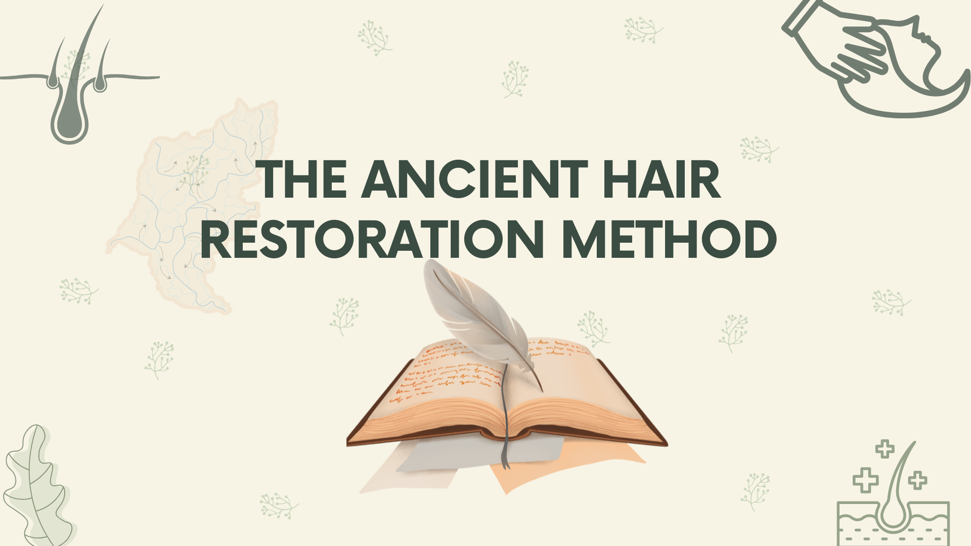 90-day natural hair-wellness blueprint + Free Daily Planner ( Worth $19 )