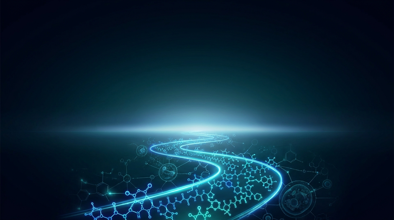 Overview & Success Roadmap