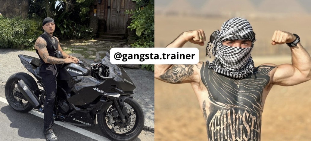 Gansgta Trainer Clipping