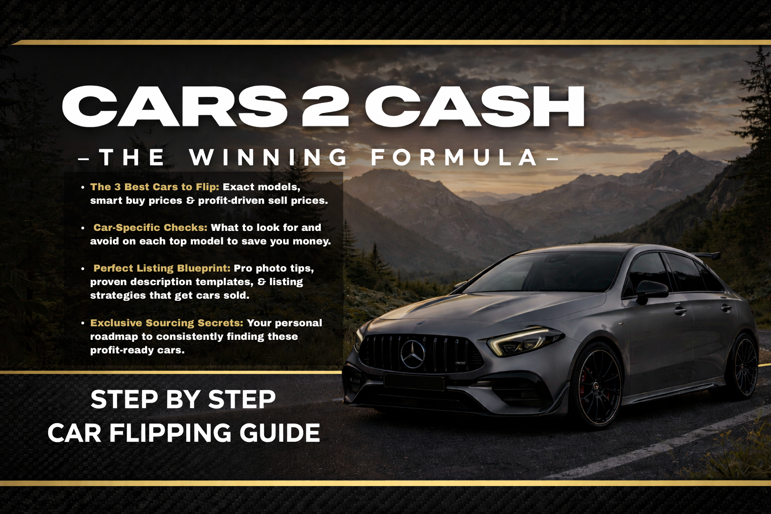 Cars2cash - Professor Saab